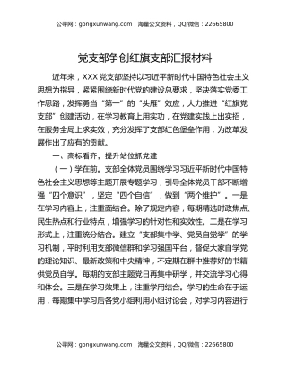 党支部争创红旗支部汇报材料