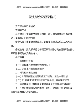 党支部会议记录格式