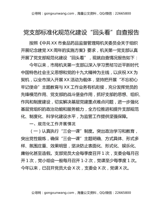 党支部标准化规范化建设“回头看”自查报告（2）