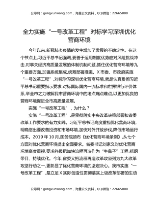 全力实施“一号改革工程”对标学习深圳优化营商环境