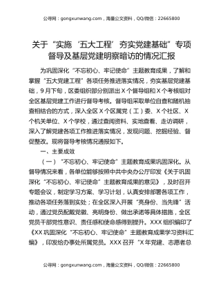 关于“实施‘五大工程’夯实党建基础” 专项督导及基层党建明察暗访的情况汇报