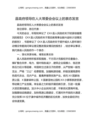 县政府领导在人大常委会会议上的表态发言