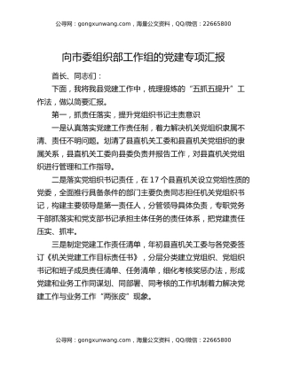 向市委组织部工作组的党建专项汇报
