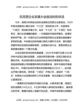 在民营企业发展大会座谈时的讲话