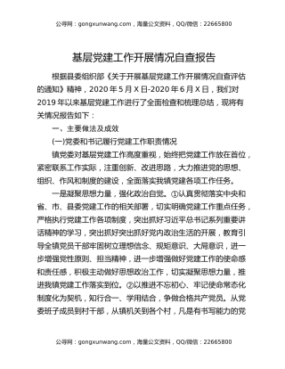 基层党建工作开展情况自查报告