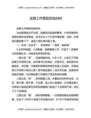 巡察工作典型经验材料