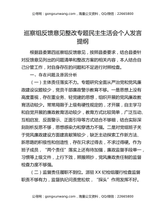 巡察组反馈意见整改专题民主生活会个人发言提纲