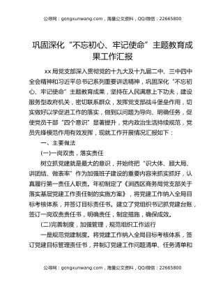 巩固深化“不忘初心、牢记使命”主题教育成果工作汇报