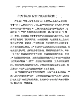 市委书记在全会上的研讨发言（三）