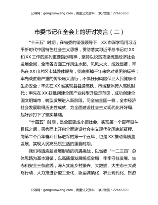 市委书记在全会上的研讨发言（二）