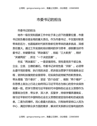 市委书记的担当