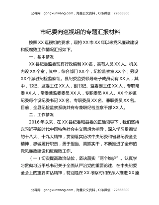市纪委向巡视组的专题汇报材料