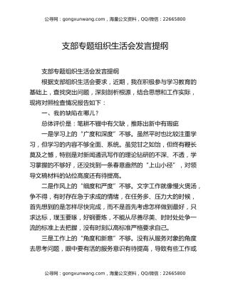 支部专题组织生活会发言提纲
