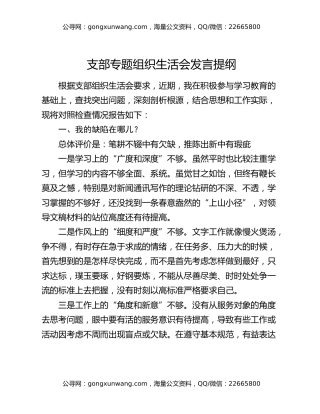 支部专题组织生活会发言提纲（2）