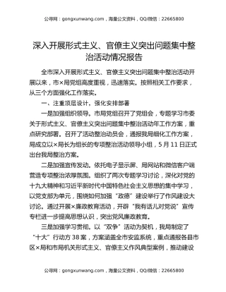 深入开展形式主义、官僚主义突出问题集中整治活动情况报告