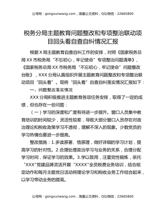 税务分局主题教育问题整改和专项整治联动项目回头看自查自纠情况汇报