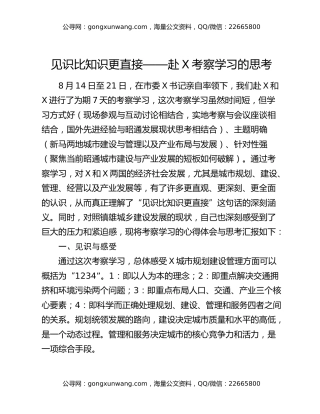 见识比知识更直接——赴X考察学习的思考