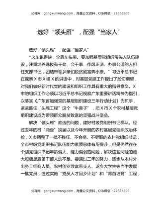 选好“领头雁”，配强“当家人”