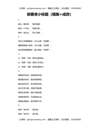 部署类小标题（措施+成效）