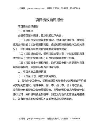项目绩效自评报告