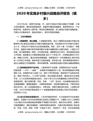 2020年实施乡村振兴战略自评报告（镇乡）