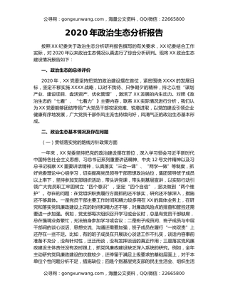 2020年政治生态分析报告