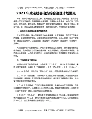 2021年政法社会治安综合治理计划要点