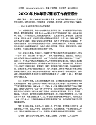 20XX年上半年意识形态工作自查报告