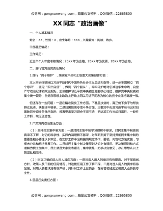 XX同志“政治画像”