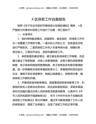 X区保密工作自查报告