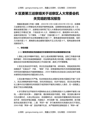 X区委第三巡察组关于巡察区人大常委会机关党组的情况报告