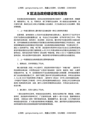 X区法治政府建设情况报告