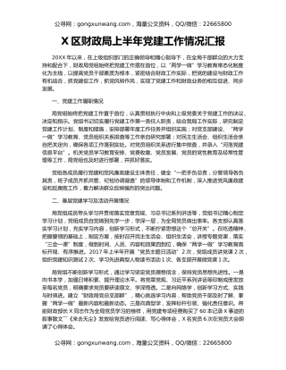 X区财政局上半年党建工作情况汇报