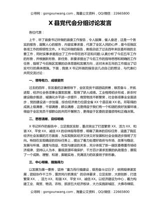 X县党代会分组讨论发言