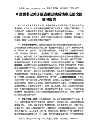 X县委书记关于抓省委巡视反馈意见整改的情况报告