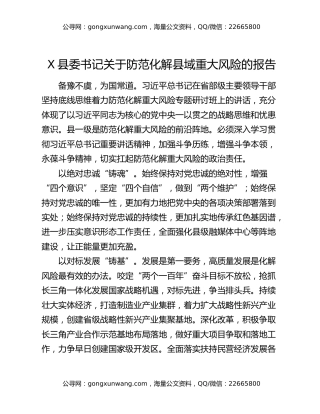 X县委书记关于防范化解县域重大风险的报告