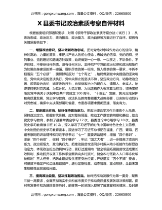 X县委书记政治素质考察自评材料