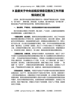 X县委关于中央巡视反馈意见整改工作开展情况的汇报