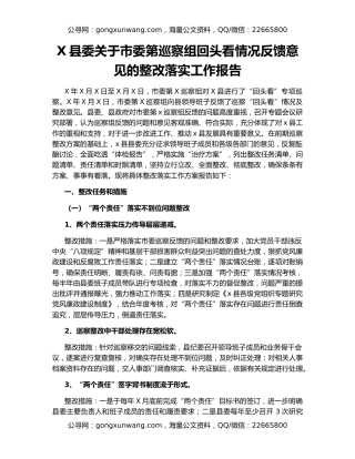 X县委关于市委第巡察组回头看情况反馈意见的整改落实工作报告