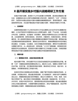 X县开展实施乡村振兴战略调研工作方案