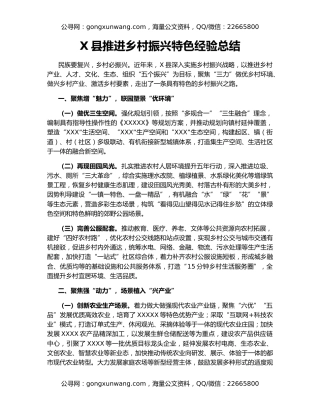 X县推进乡村振兴特色经验总结