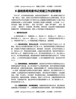 X县税务局党委书记党建工作述职报告