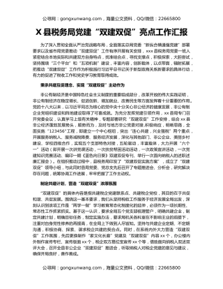 X县税务局党建“双建双促”亮点工作汇报