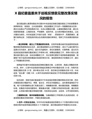 X县纪委监委关于巡视反馈意见整改落实情况的报告