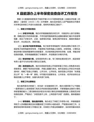 X县能源办上半年保密自查自评工作报告