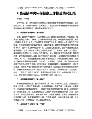 X县迎接中央环保督察工作推进情况汇报