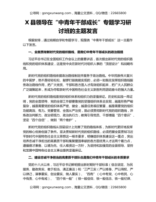 X县领导在“中青年干部成长”专题学习研讨班的主题发言