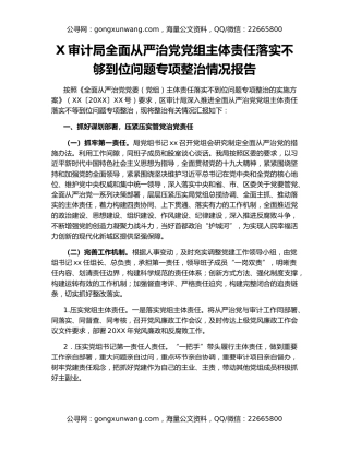 X审计局全面从严治党党组主体责任落实不够到位问题专项整治情况报告