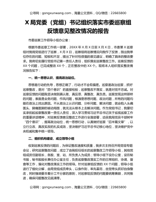 X局党委（党组）书记组织落实市委巡察组反馈意见整改情况的报告