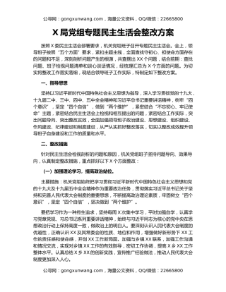 X局党组专题民主生活会整改方案